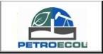 LOGO PETROECOL CON CUADRO